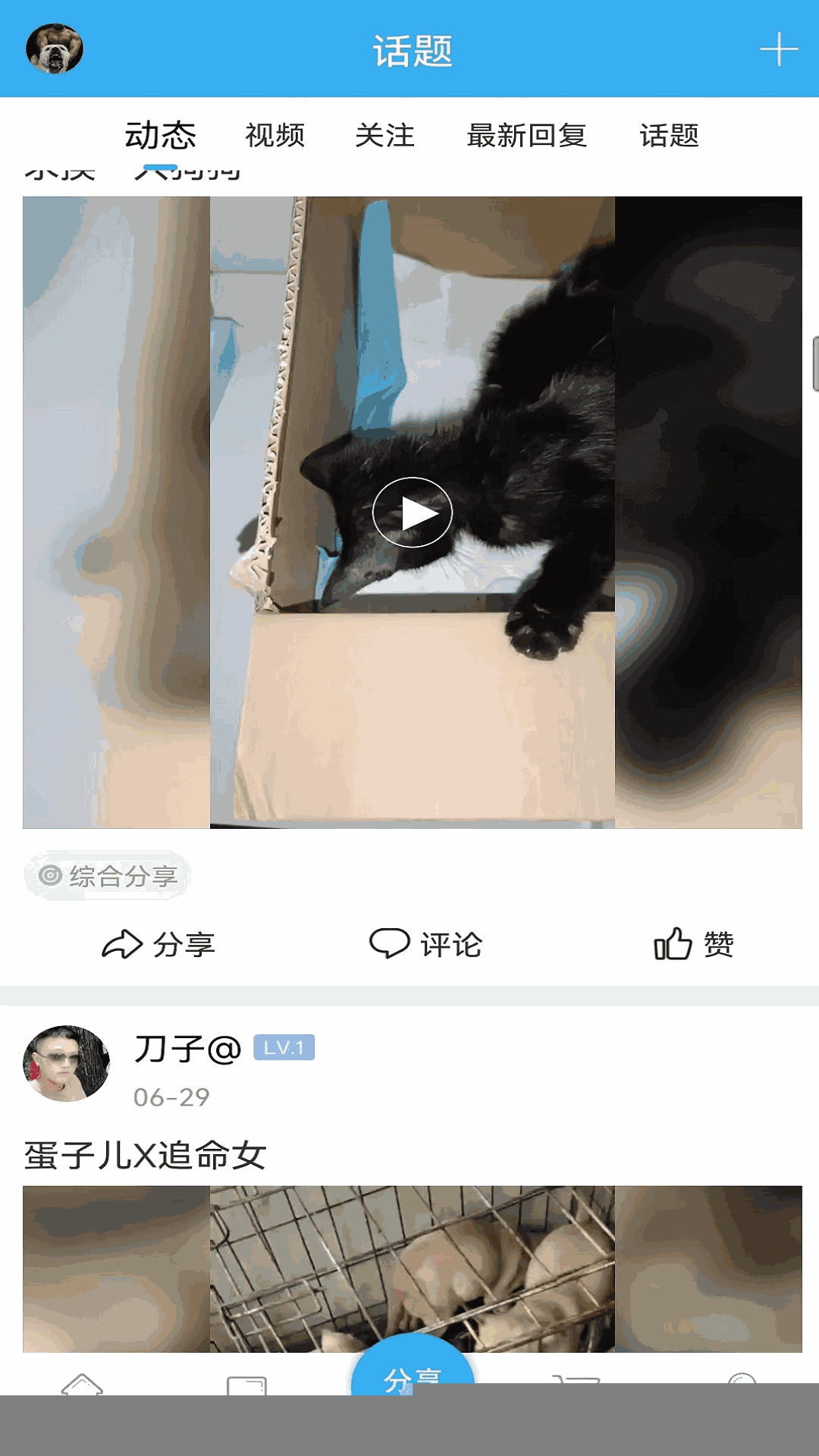 猛犬俱乐部