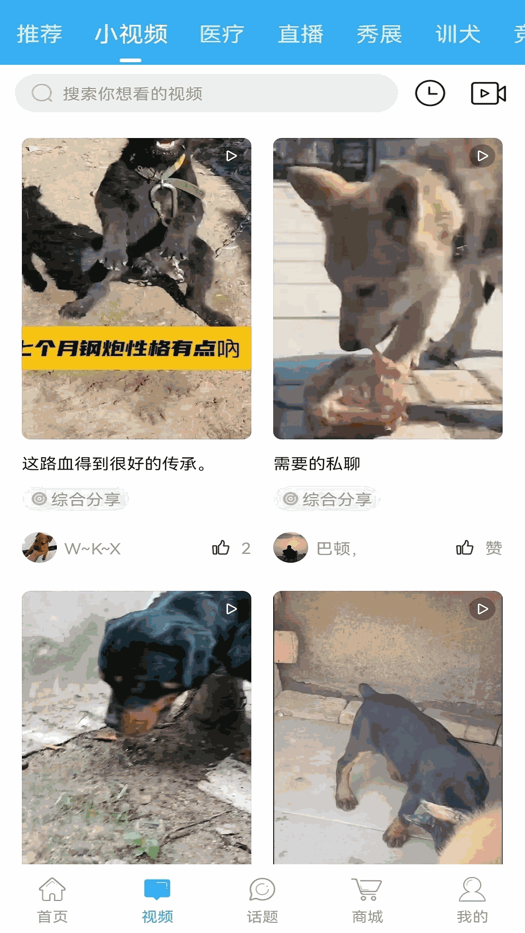 猛犬俱乐部